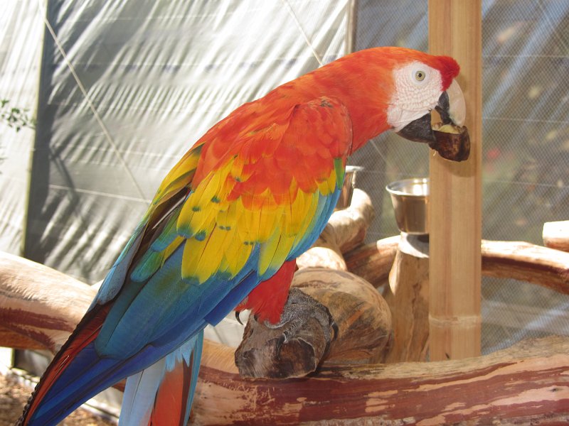 Florida Apr2012 0063