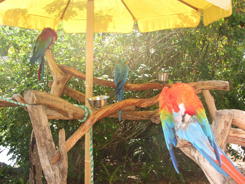 Florida Apr2012 0064