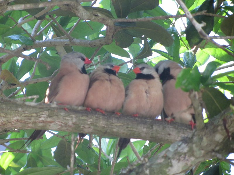 Florida Apr2012 0065