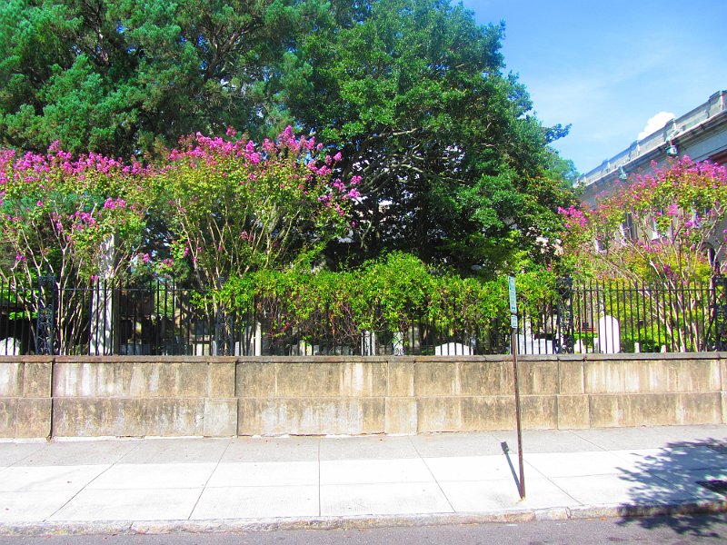 South Caroline Aug2012 0108