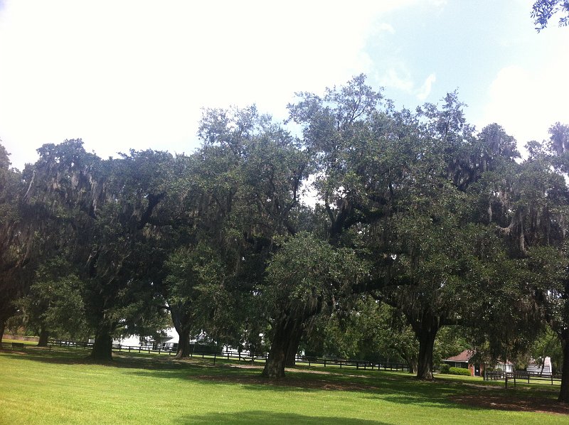South Caroline Aug2012 0263
