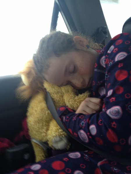 Mont Blanc March 2014 0061