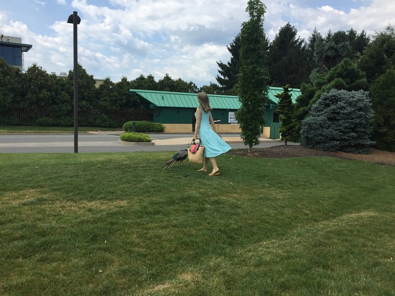 New Jersey Aug2015 0023