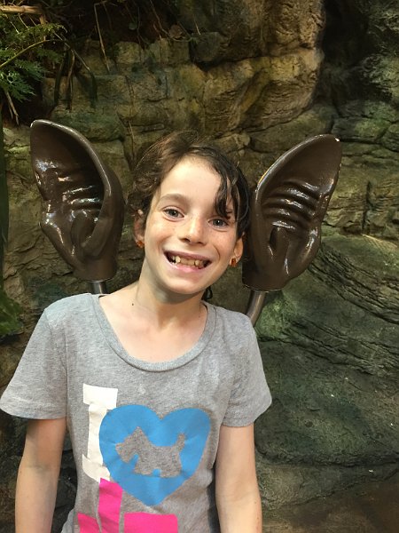 Montreal Canada Day Jul2016 0110