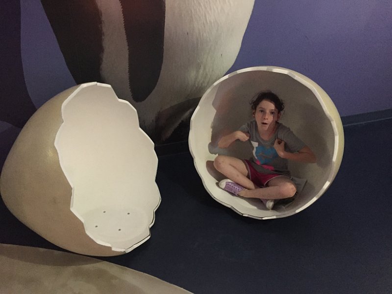 Montreal Canada Day Jul2016 0111