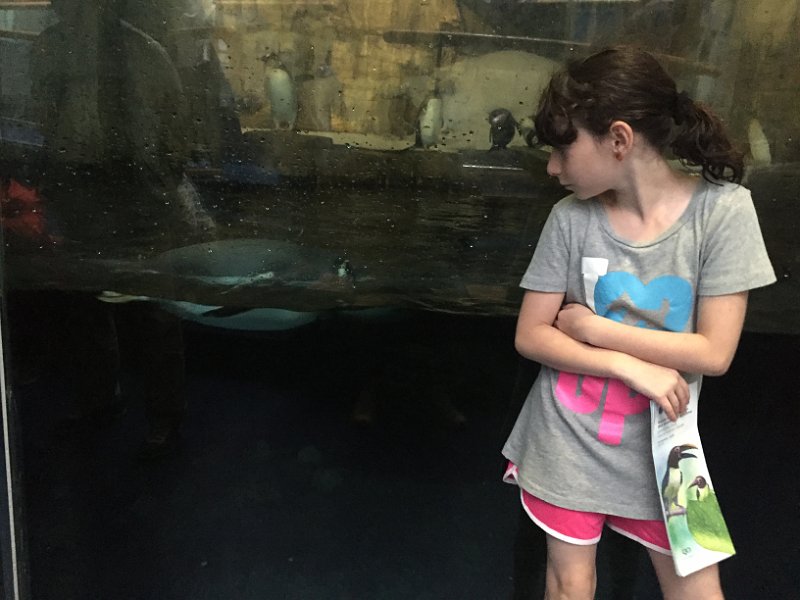 Montreal Canada Day Jul2016 0114