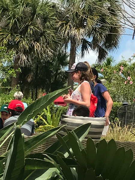 Club Med Sandpiper Apr2017 0072