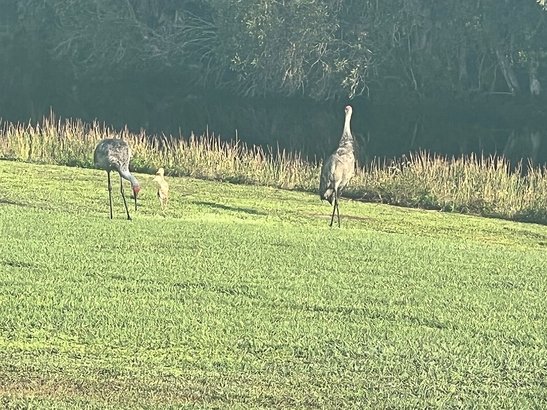 ClubMed_Mar2022 (115)