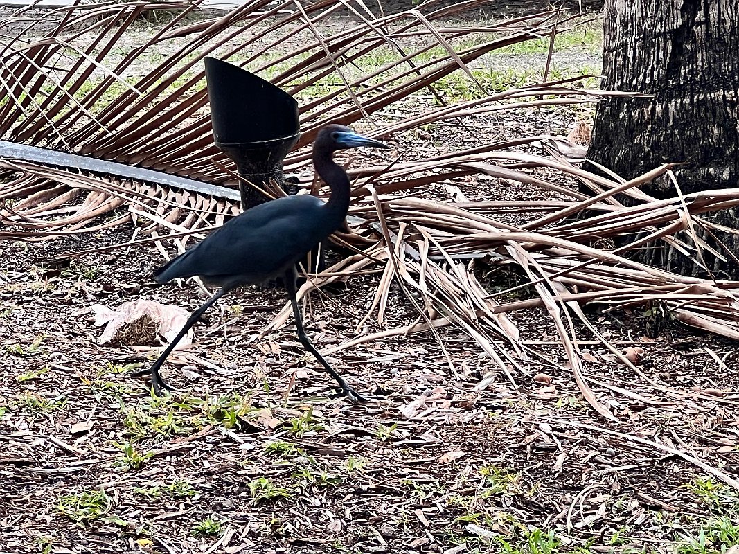 ClubMed_Mar2022 (127)