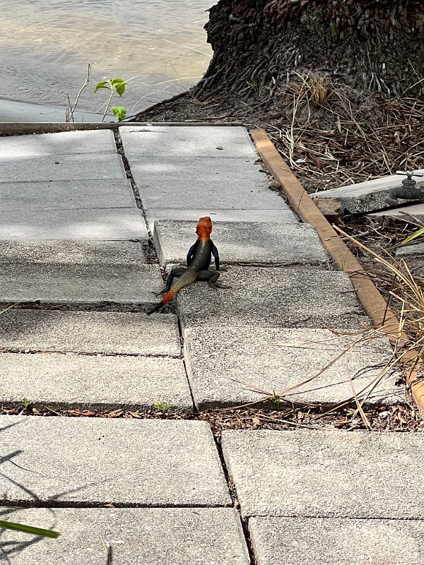 ClubMed_Mar2022 (132)