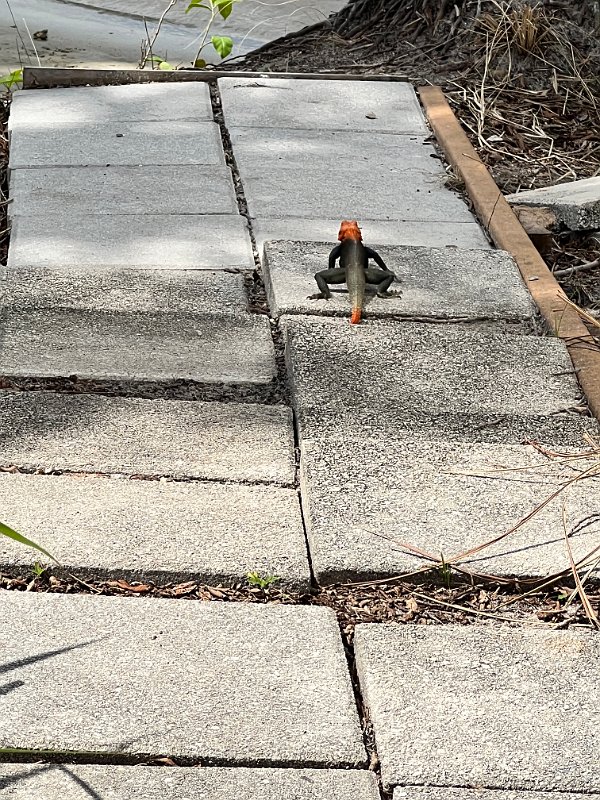 ClubMed_Mar2022 (133)