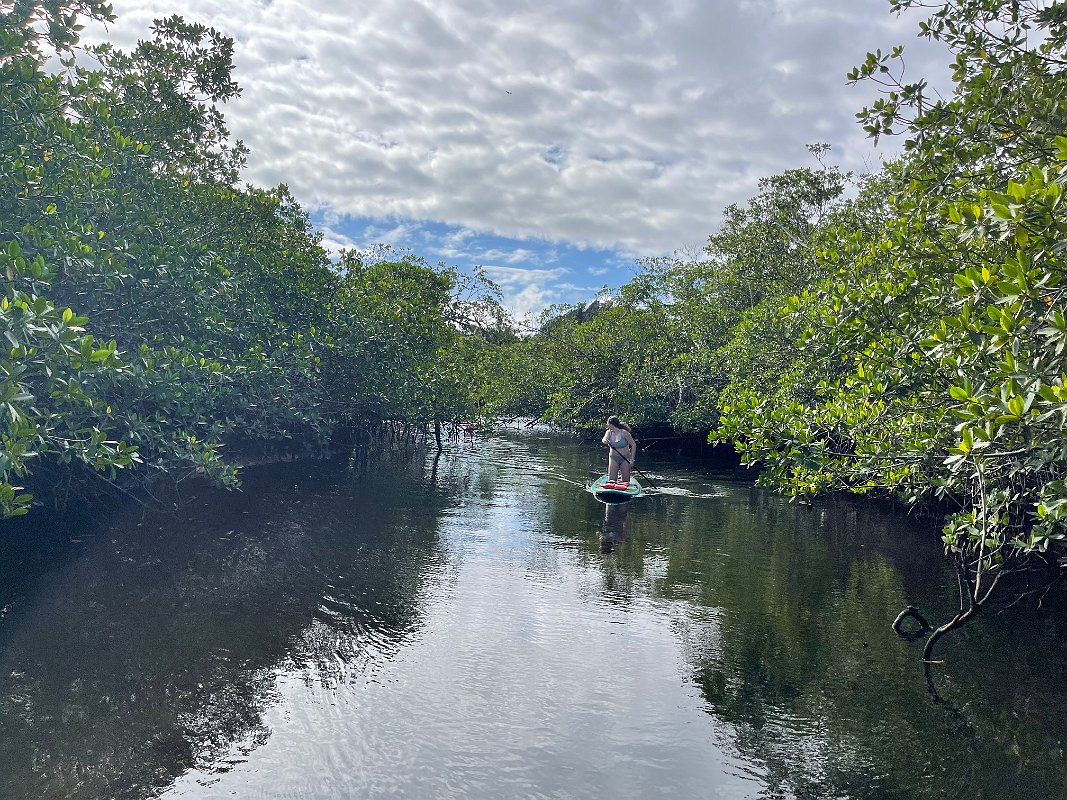 Florida_Dec2022 (31)