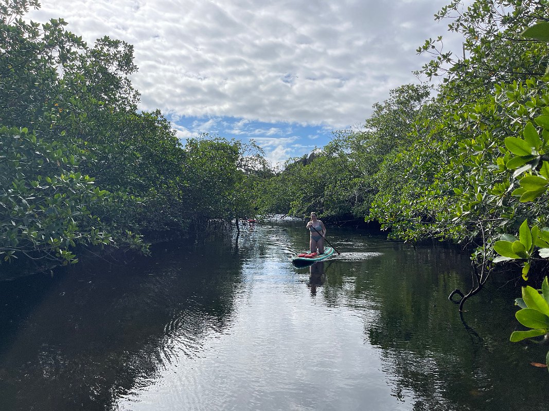 Florida_Dec2022 (32)
