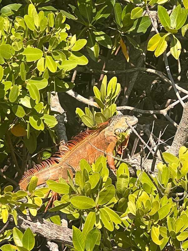 Florida_Dec2022 (37)