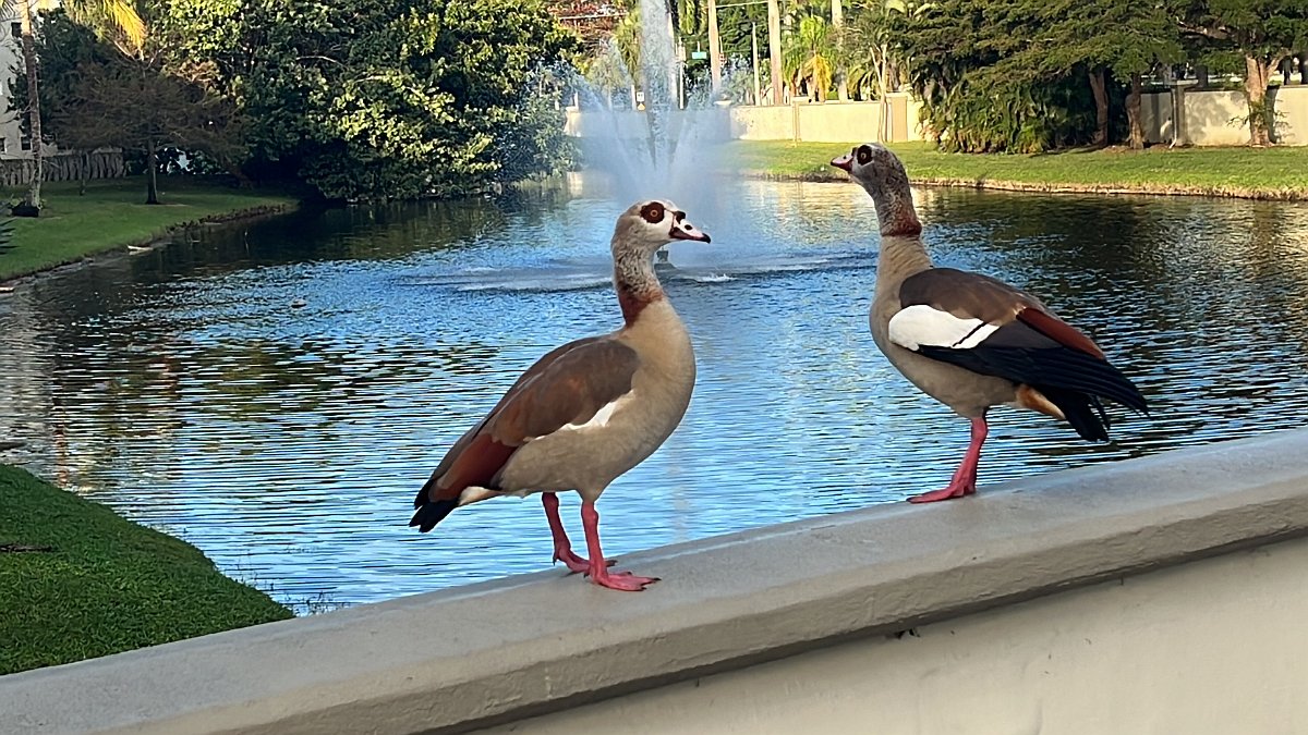 Florida_Dec2022 (53)