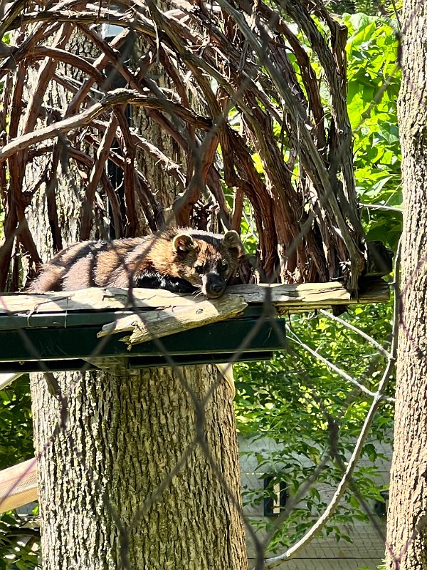 Zoo_Ecomuseum_Jun2022 (11)
