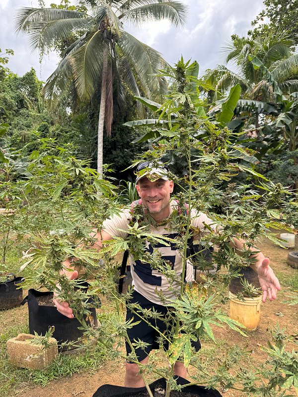 Jamaica_Dec2023 (72)