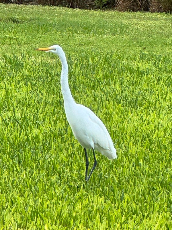 Club_Med_Turks_Dec2024 (26)