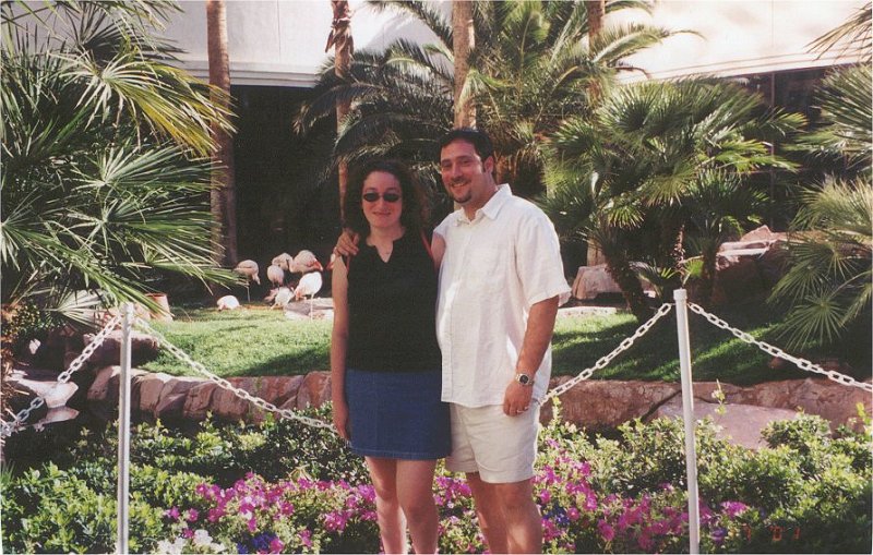 vegas flamingo darryllisa