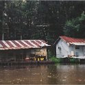 swamp cabin2