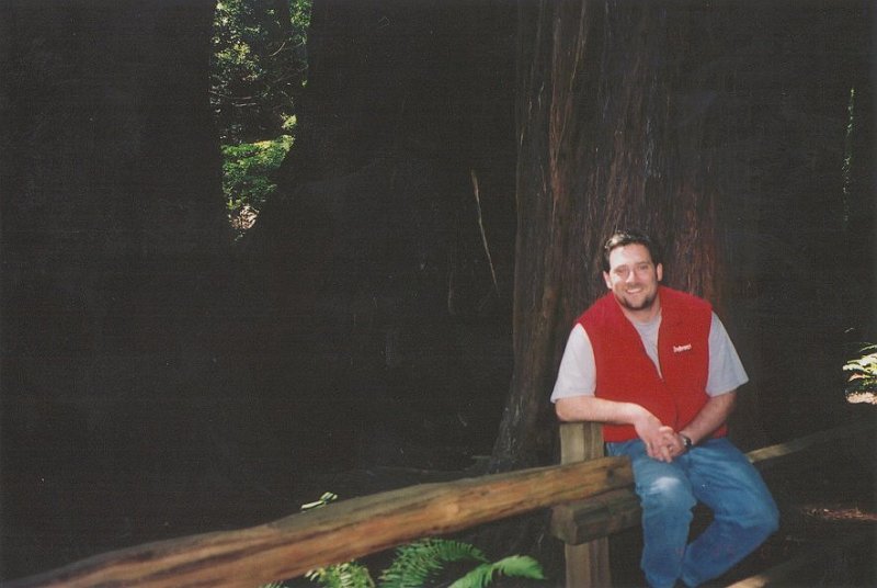 darryl sanfran muirwoods