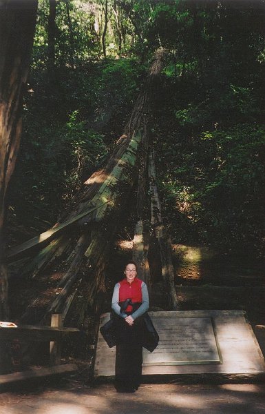 lisa sanfran muirwoods