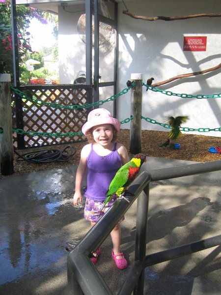 florida 2008 0036