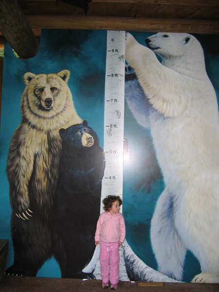 florida 2008 0068