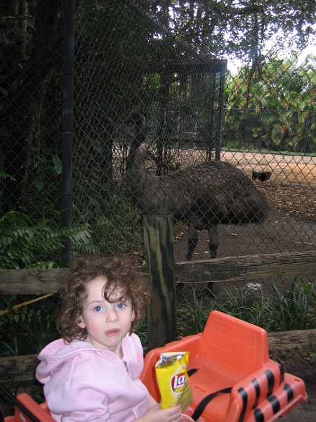 florida 2008 0084