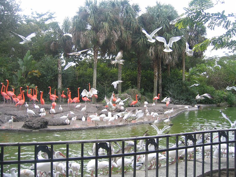 florida 2008 0332