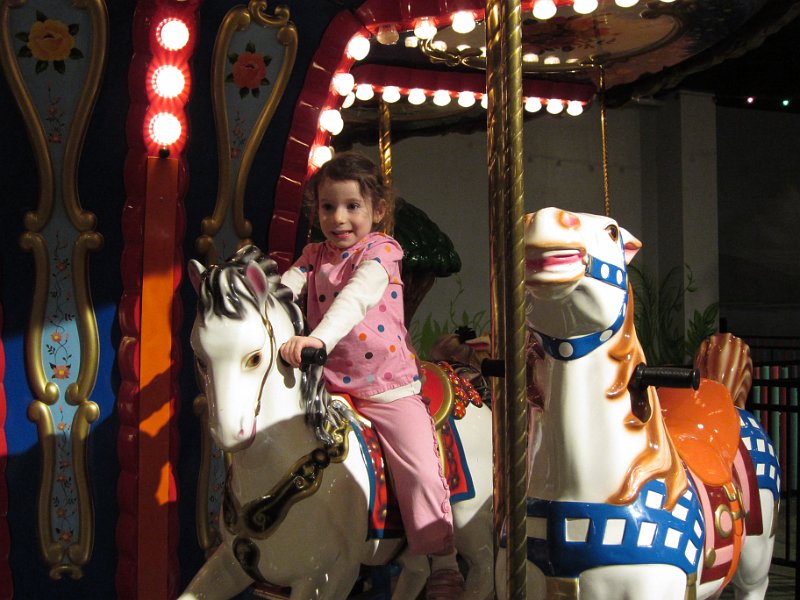 Florida Dec 2010 0016