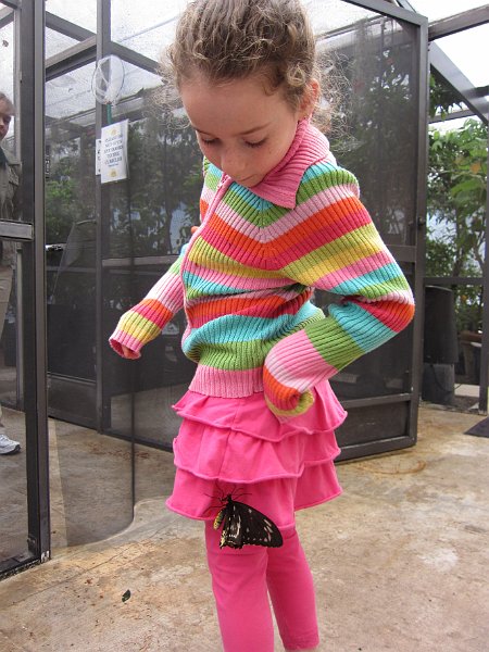 Florida Dec 2010 0050