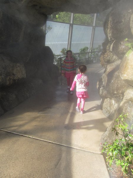 Florida Dec 2010 0059