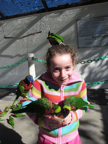 Florida Dec 2010 0062