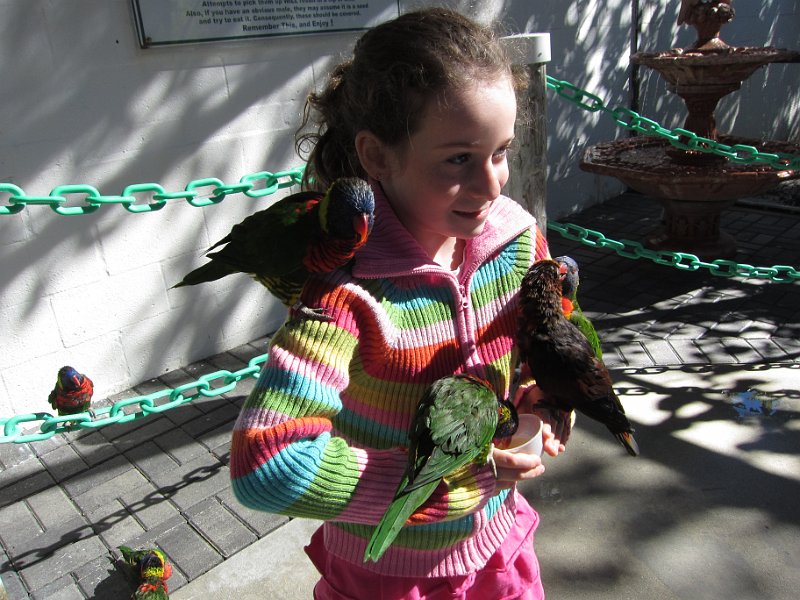 Florida Dec 2010 0064