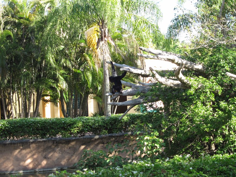 Florida Dec 2010 0084