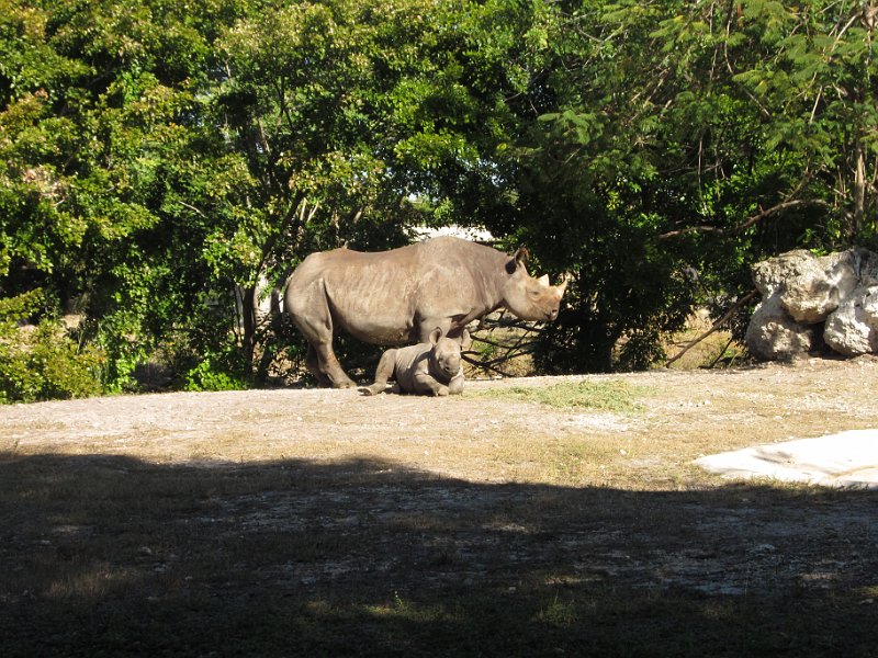 Florida Dec 2010 0092