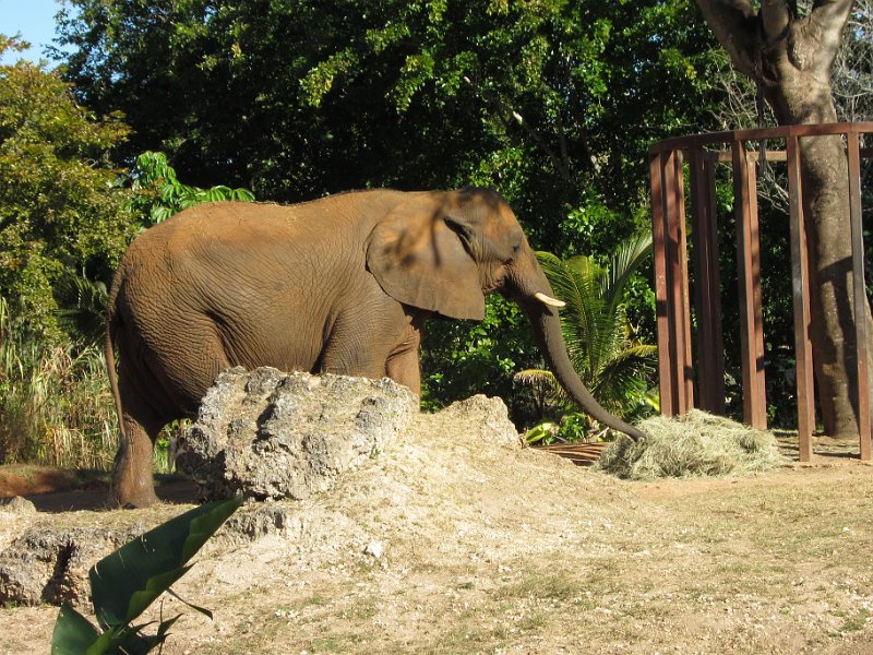 Florida Dec 2010 0094