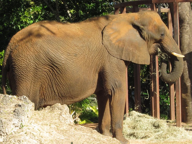 Florida Dec 2010 0095