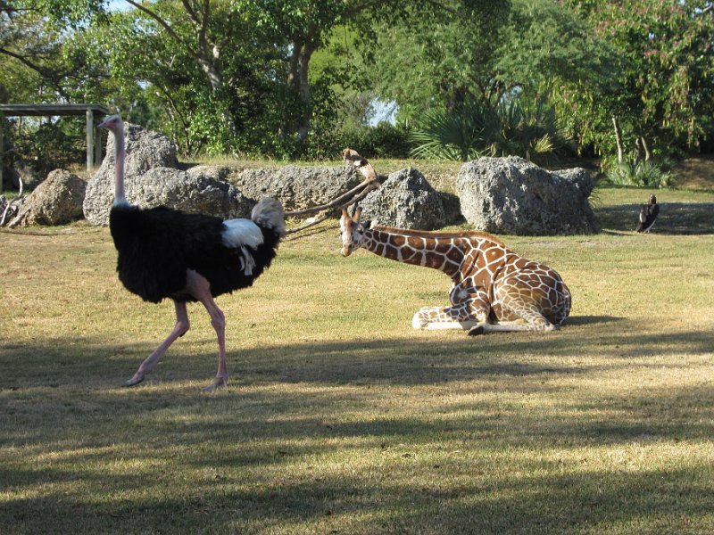 Florida Dec 2010 0098