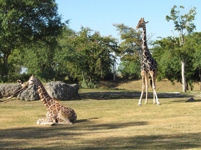 Florida Dec 2010 0099