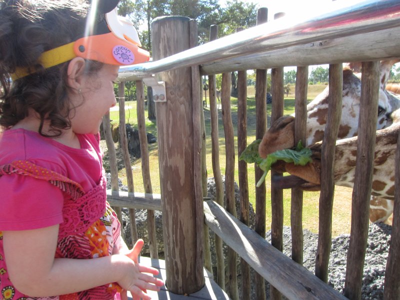 Florida Dec 2010 0114