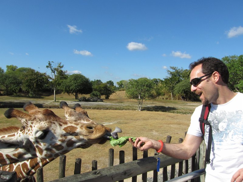 Florida Dec 2010 0115