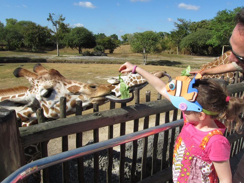 Florida Dec 2010 0117