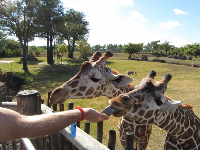 Florida Dec 2010 0118