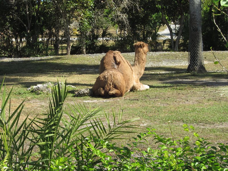 Florida Dec 2010 0123