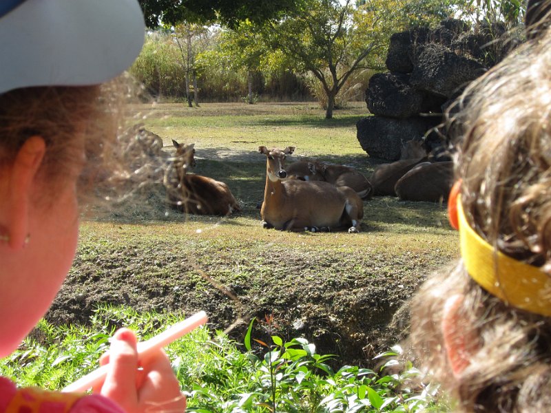 Florida Dec 2010 0125