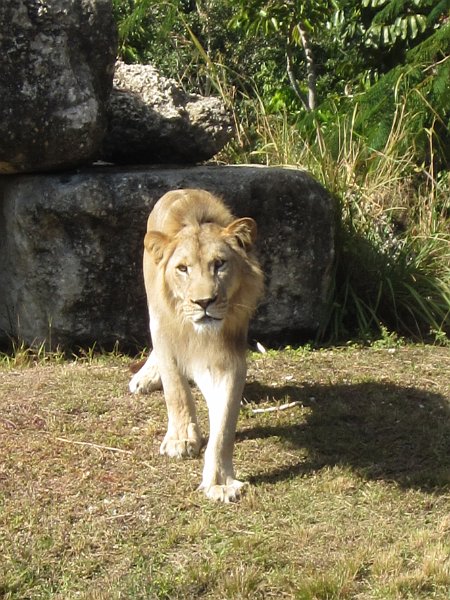 Florida Dec 2010 0130