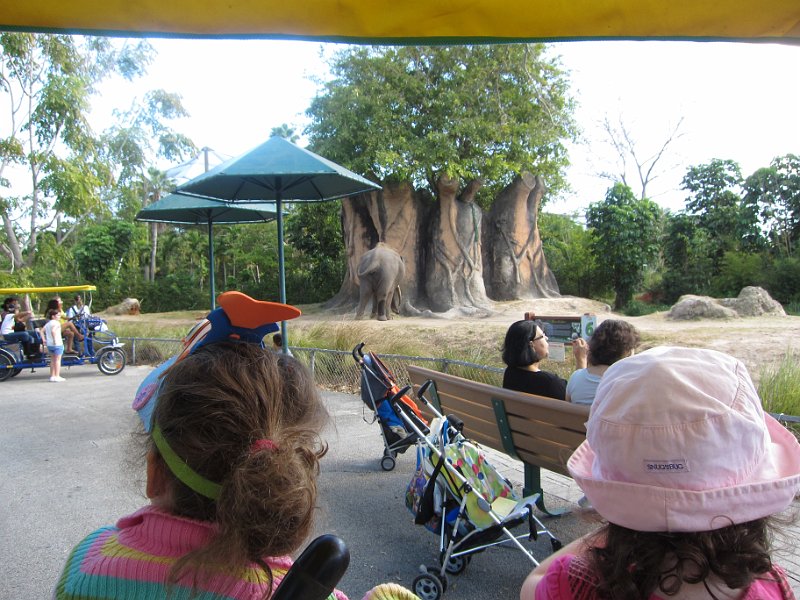 Florida Dec 2010 0133