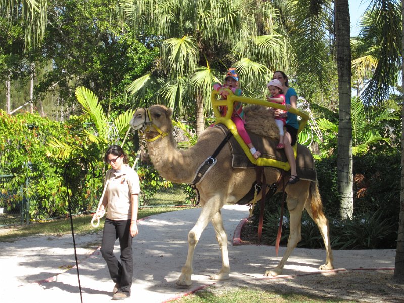 Florida Dec 2010 0138